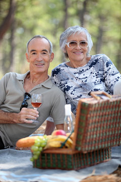 Senior couple enjoying a picnic