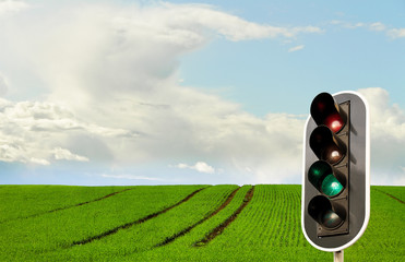 Green field and traffic light.