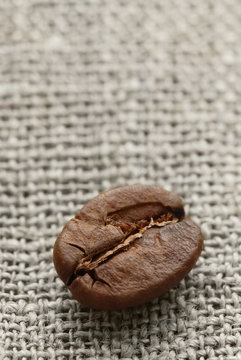 Coffee bean on a hessian