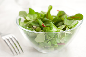 Healthy green salad on a table closeup