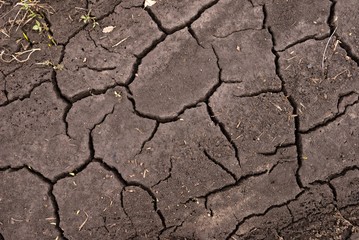 dry cracked earth background