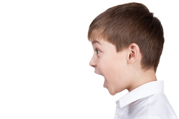 Portrait of the boy