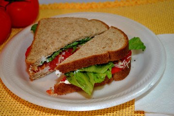 Healthy Tomato Sandwich