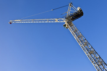 Crane