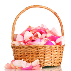 Fototapeta na wymiar beautiful pink rose petals in basket isolated on white