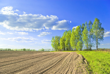 Russian rural landscape in May © andrew