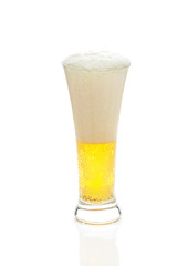 light beer with the foam in a tall glass isolated on white