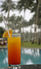 A Glass of Tequila Sunrise by a Pool