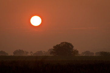 Sunrise Over the Field