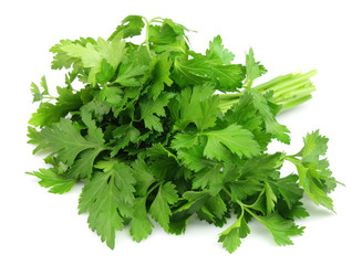 green parsley