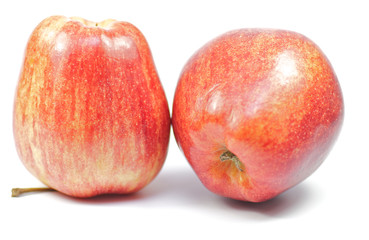Apples on white background