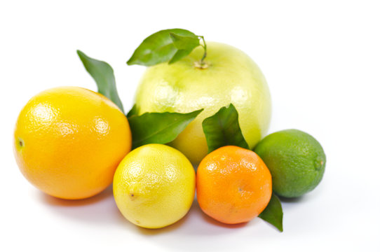 Citrus Mix
