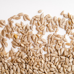 seeds