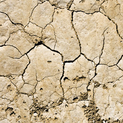 Arid earth