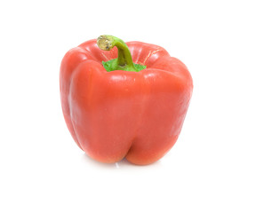 Bulgarian pepper