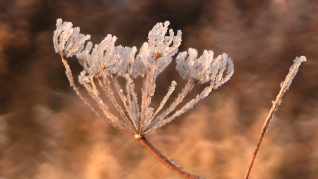 retour du printemps