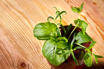 Fresh spices in wooden mortar