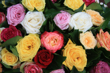 Multicolored rose arrangement after a rainshower