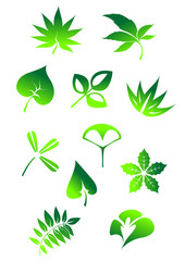 Green leaves symbols