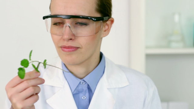 Female biochemist analyzing plant, steadicam shot