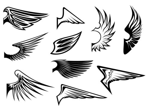 Set of heraldic wings