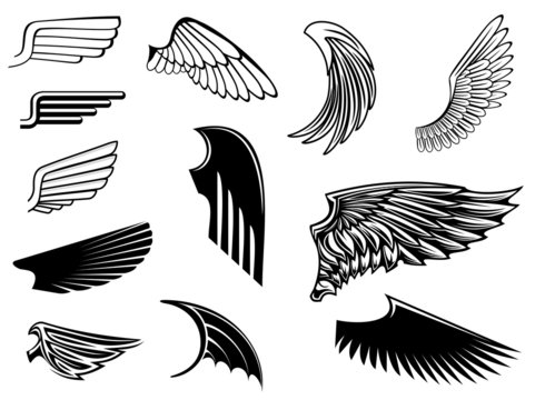 Set of heraldic wings