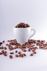 Cup with coffee beans on white background