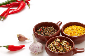 Colorful natural additives.Spices and herbs in ceramic bowls.