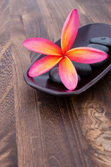 Obraz na płótnie Canvas Tropical Plumeria Frangipani with spa stone on wooden table for