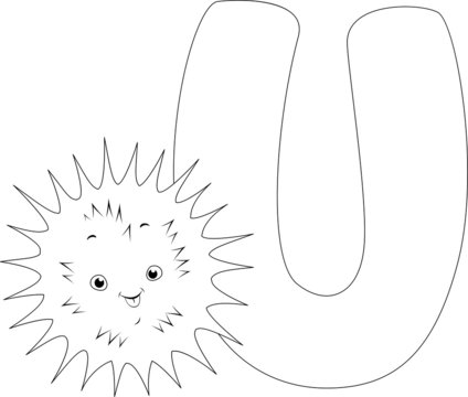 Coloring Page Urchin