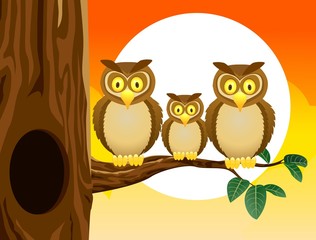 Owl family