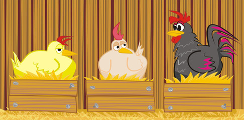 hen and  cock in the barn © ottoflick