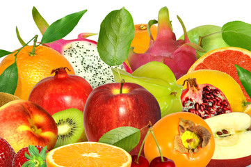 Obst 559