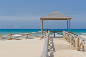 Fototapeta premium Beach Path