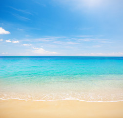 beach and clear tropical sea