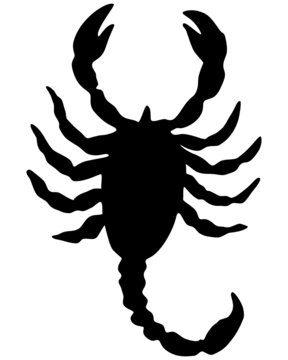 Skorpion Silhouette