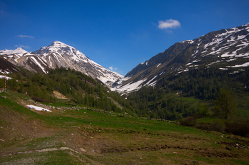 Alpi Svizzere