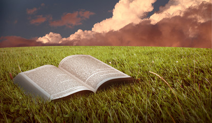 Libro al tramonto