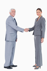 Businessman and woman shaking hands