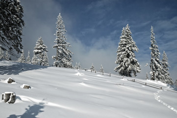 Obraz premium Winter in the mountains