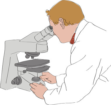 Observation au microscope
