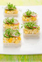 canape with egg, cucumber, radishes and cress