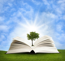magic book with green tree