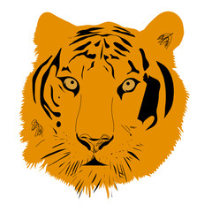 tiger head vector illustration