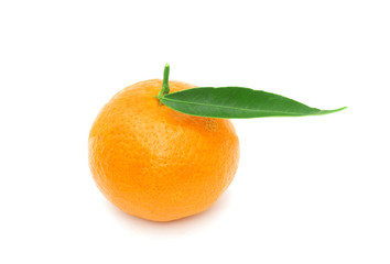 tangerine