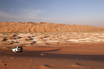 Abu Dhabi's dunes