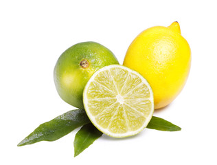 Limes and yellow lemon