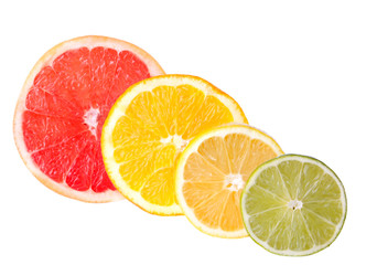 Citrus Fruit Sections