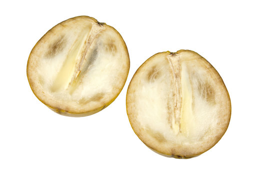 Abiu Sapote