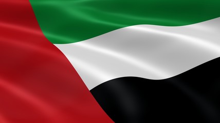 Emirati flag in the wind
